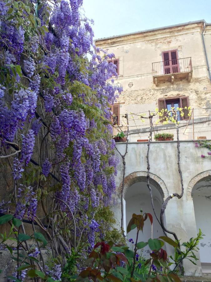 Palazzo De Fabritiis Bed and Breakfast Rosciano  Eksteriør billede